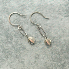 Load image into Gallery viewer, Silver Plated Disc Charm Paperclip Earrings