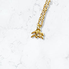 Load image into Gallery viewer, Zodiac - Aquarius - Necklace